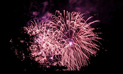 fireworks and trees