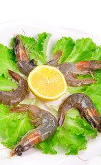 Raw shrimps on plate.