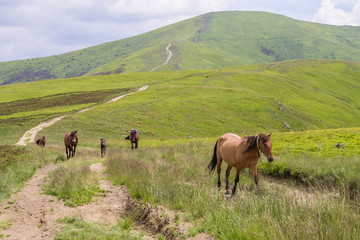 mountains landscape