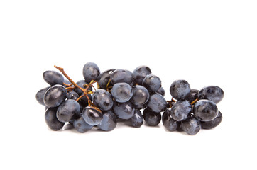 Branch of black ripe grapes