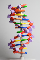 Molecular, DNA and atom model in science research lab