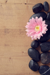 Fototapeta na wymiar pink flower with stones