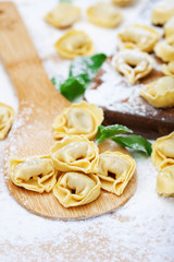 Raw Tortellini