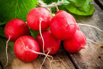 bundle of bright fresh organic radishes with leaves closeup