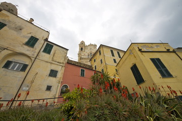 Fototapeta premium Cervo