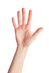 Five fingers