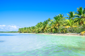 Plakat Tropical paradise in Dominican Republic