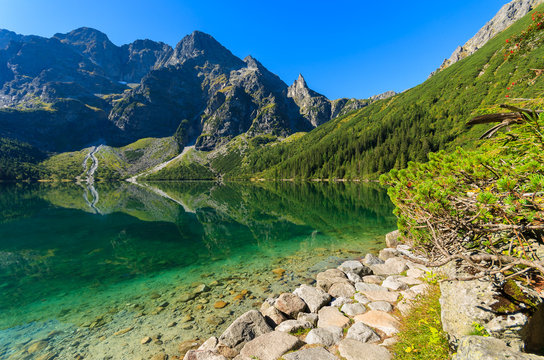 Green water mountain lake Morskie Oko, Tatra Mountains, Poland © pkazmierczak