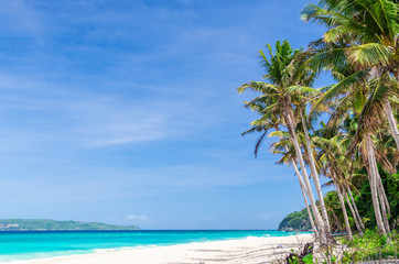 Tropisch wit strandzicht en palmbomen met turquoise zee
