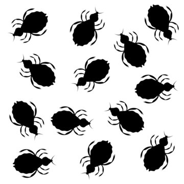 piojos vector
