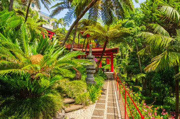 Fototapeta premium Monte tropical gardens in Funchal town, Madeira island, Portugal