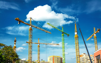 Many Cranes