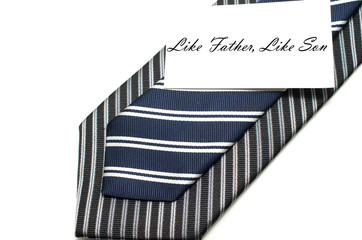 Like father like son bonding concept with two ties isolated on w