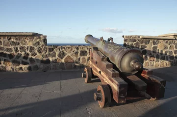Photo sur Plexiglas Travaux détablissement fort with cannon