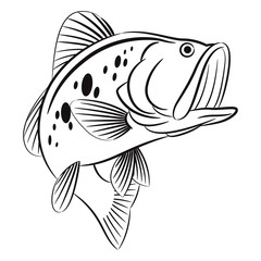 Bass fish symbol on white background,Vector.