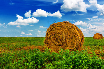 Bale of Straw