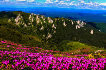 Ciucas Mountain Landscape