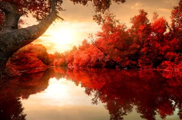 Selbstklebende Fototapete Herbst Roter Herbst am Fluss