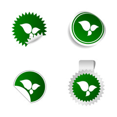 Obraz premium sticker green color with white leaf icon vector