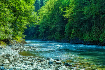 Naklejka premium Mountain river