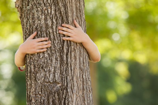 Little boy in the park hugging tree