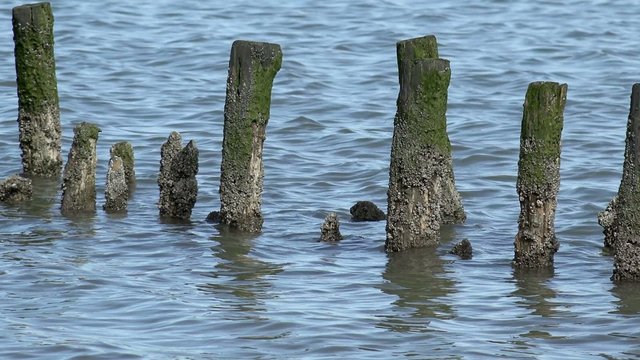 Buhnen im Meer
