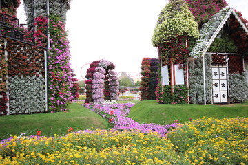 Dubai miracle garden