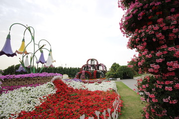 Dubai miracle garden