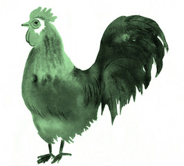 watercolor bird cock