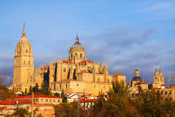 Fototapeta na wymiar Salamanca Cathedral in autumn time