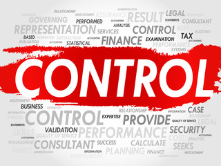 CONTROL word cloud, business concept