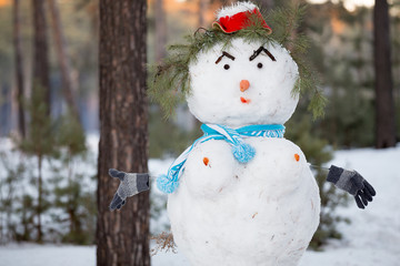 Portrait Snowman in hat and scarf in forest