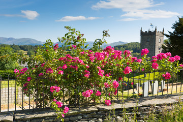 Hawkshead Lake District UK pink roses and church