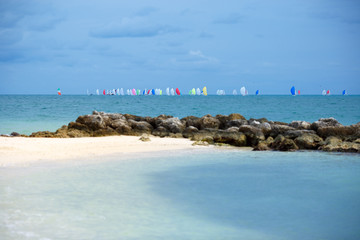 Fototapeta premium Colorful sailing boats on the sea. Florida Keys