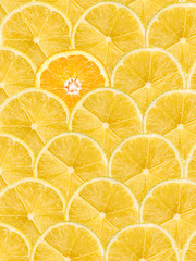 Obraz premium One Orange Slice Stand Out Of Yellow Lemon Slices