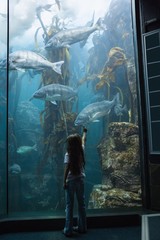 Little girl looking at fish tank