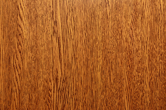 Wooden wall texture, wood background