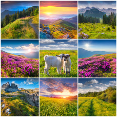 Collage with 9 square summer landscapes.
