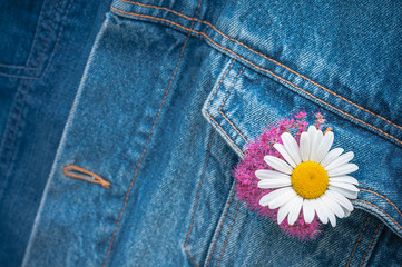 Jeans mit Margerite, sommerlich, Freizeitkleidung