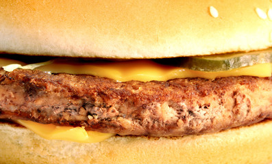 macro fragment burger