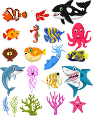 collection de dessins animés de la vie marine