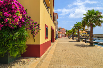 Flowers on promenade in port, Madeira island, Portugal