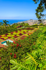 Monte tropical gardens in Funchal town, Madeira island, Portugal