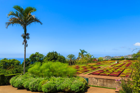 Monte tropical gardens in Funchal town, Madeira island, Portugal