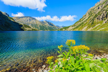 Beautiful Czarny Staw lake in summer, Tatra Mountains, Poland © pkazmierczak