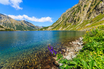Beautiful Czarny Staw lake in summer, Tatra Mountains, Poland