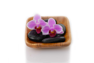 Fototapeta na wymiar wooden bowl of orchid with black stones 