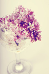 Lilac branch in a glass.
