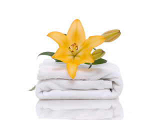 Macro of yellow lily and towel