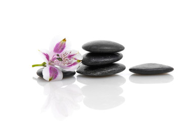 Set of orchid on stacked stone with reflection